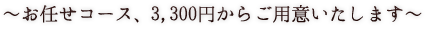 お任せコース、3,000円からご用意いたします